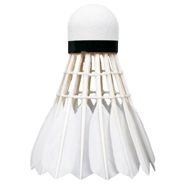 DG30 Tournament Shuttlecock (50 tubs) - Image 3