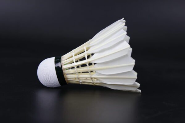 LEIPAI DG88 shuttlecock (50 Tubes) - Image 3