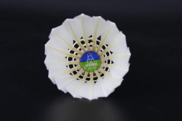 LEIPAI DG88 shuttlecock (50 Tubes) - Image 2
