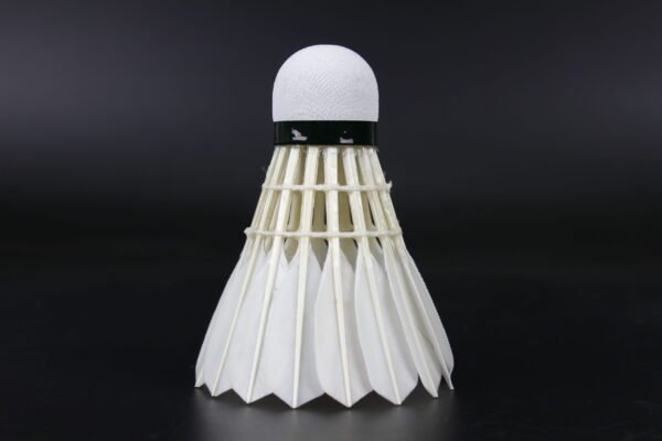 LEIPAI 40SP-Shuttlecock (High Altitude) ( Bulk Orders) - Image 3