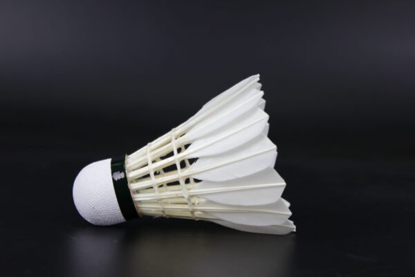 LEIPAI 40SP-Shuttlecock (High Altitude) ( Bulk Orders) - Image 5